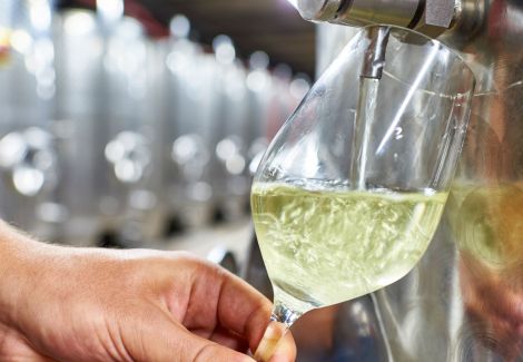 Im Weinkeller wird Wein in ein Glas abgefüllt.